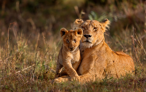 Kruger National Park