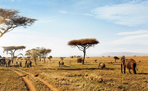 Serengeti National Park